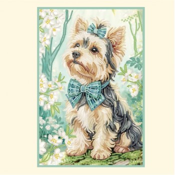 Йоркширский терьер Йоркширский терьер Yorkshire Terrier